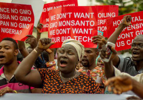 04/04/16 Les acteurs du secteur agricole debout contre l'introduction des OGM au Nigéria